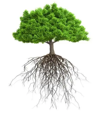 Istockphoto 1124466490 612X612 1.Jpg